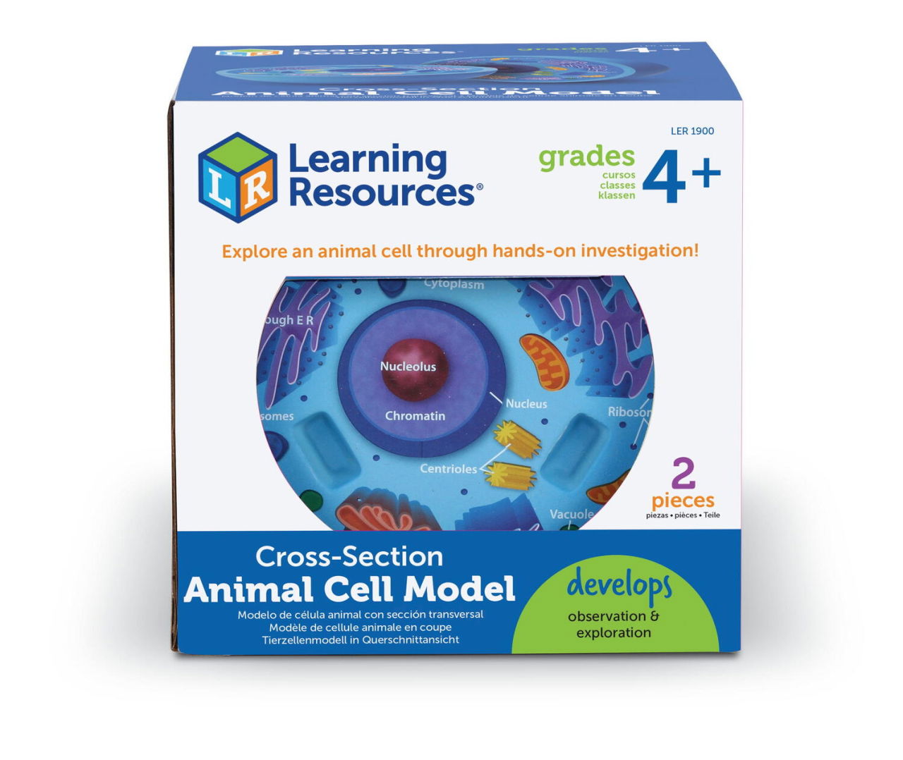 Sectiunea celulei animale [1]