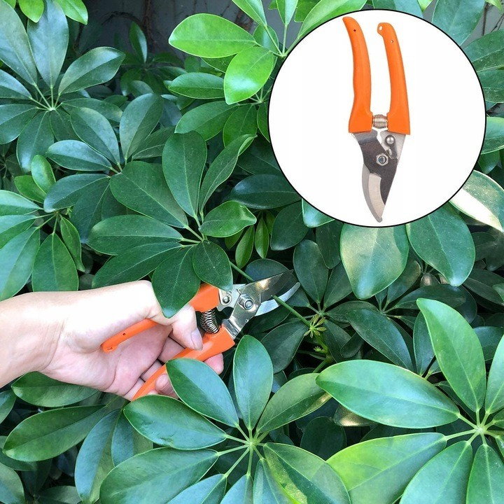 Set 12 Unelte de Gradina, Flippy, pentru Plantare Prelucrare Sol si Ingrijire Plante, Manere Portocalii, Material PVC si Cardboard, Cutie Inclusa, 37x28 cm, Negru [2]