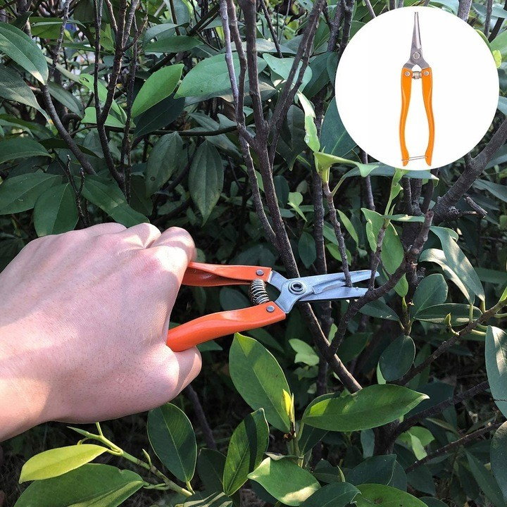 Set 12 Unelte de Gradina, Flippy, pentru Plantare Prelucrare Sol si Ingrijire Plante, Manere Portocalii, Material PVC si Cardboard, Cutie Inclusa, 37x28 cm, Negru [3]