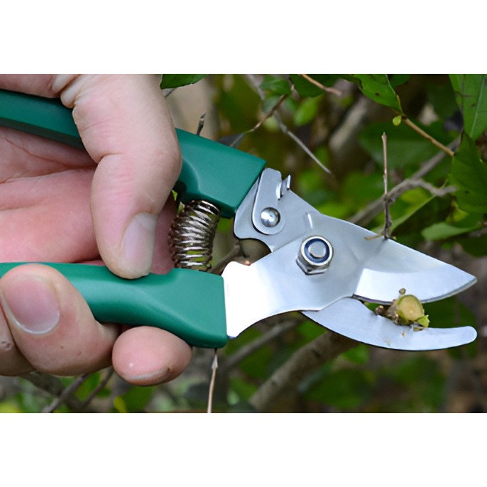 Set 12 Unelte de Gradina, Flippy, pentru Plantare Prelucrare Sol si Ingrijire Plante, Material PVC si Cardboard, Cutie Inclusa, 37x28 cm, Verde [12]