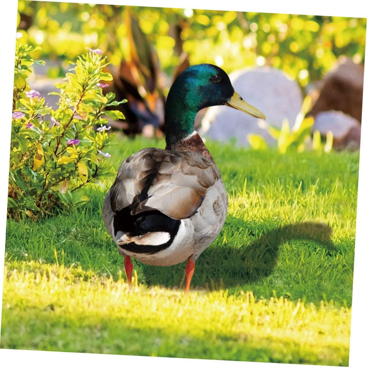 Set 2 Decoratiuni de Gradina, Flippy, Model Rata, Tip Placa, Grosime 3 mm, Fata-Verso, Multicolor [4]