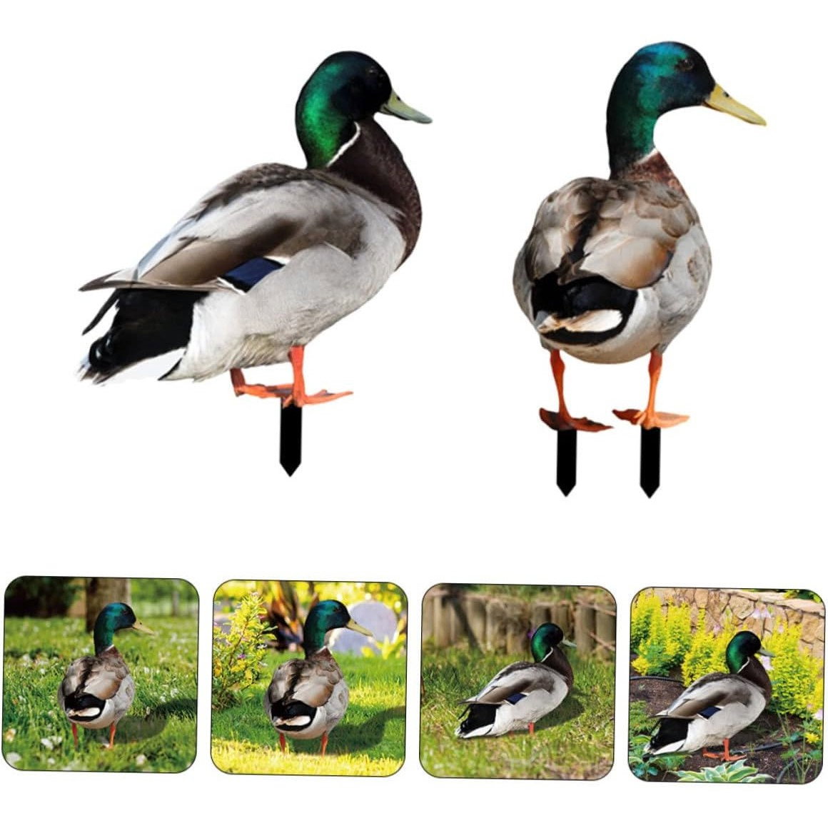 Set 2 Decoratiuni de Gradina, Flippy, Model Rata, Tip Placa, Grosime 3 mm, Fata-Verso, Multicolor [3]