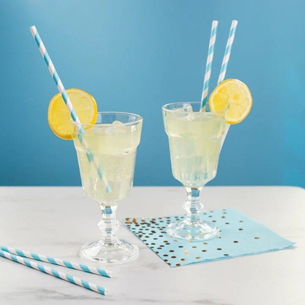 Set 25 Paie, Flippy, din Hartie, 20 cm, Model cu Dungi, Alb/Albastru [2]