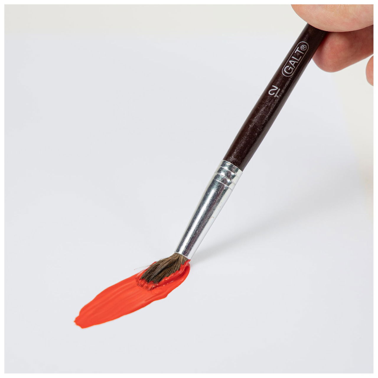 Set 5 pensule pictura [5]