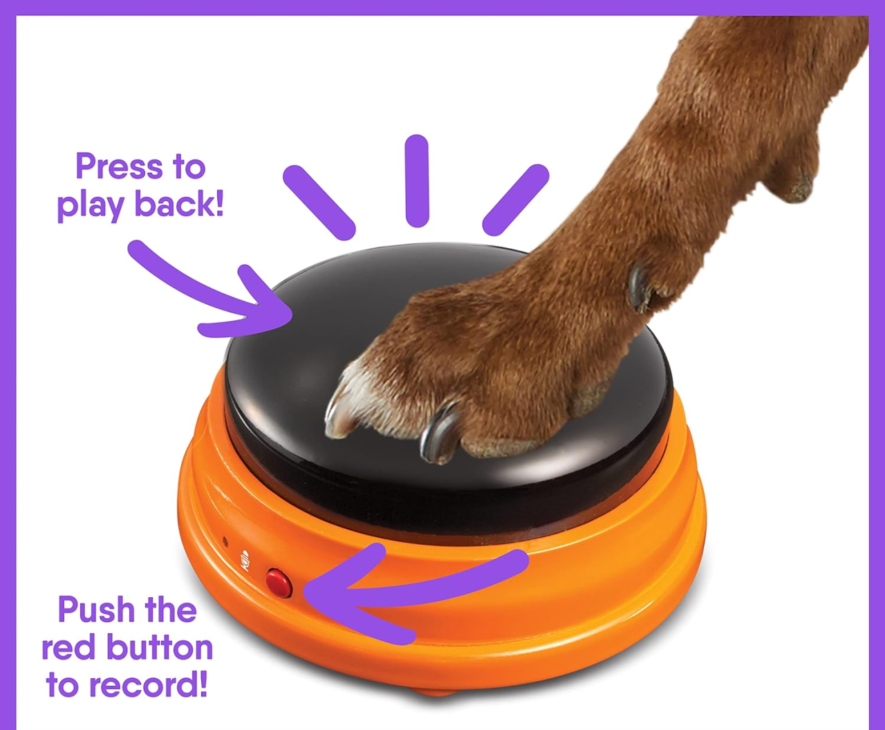 Set dresaj caini - Sonerii dresaj catel [5]