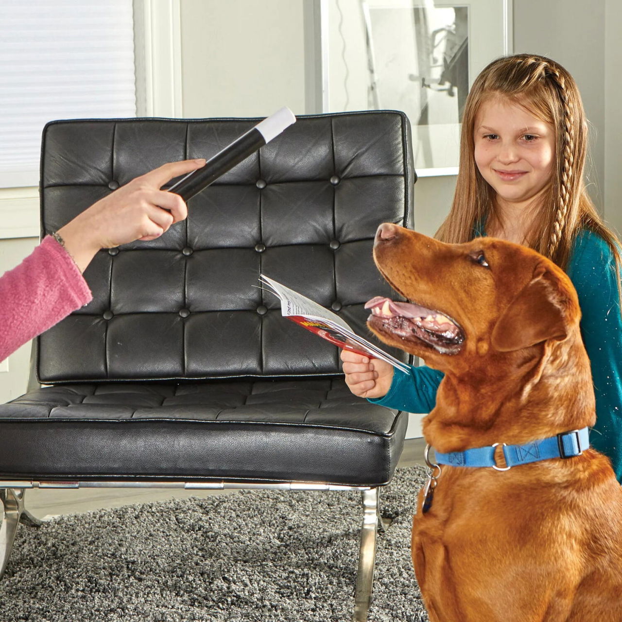 Set dresaj caini - Trucuri magice [7]