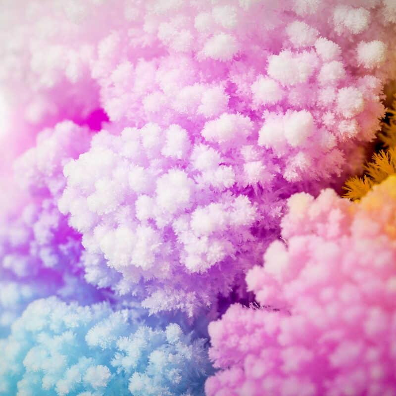 Set experimente - Copacul magic [6]