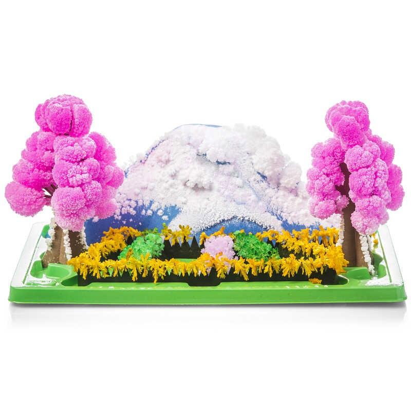 Set experimente - Gradina magica [1]