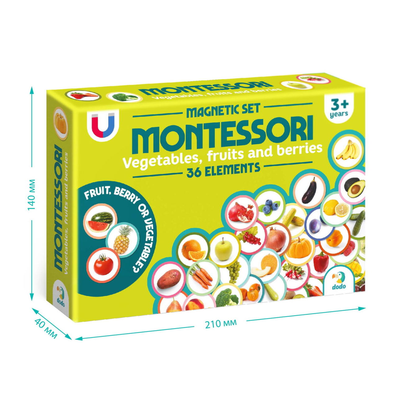 Set magneti Montessori - Fructe si legume [6]