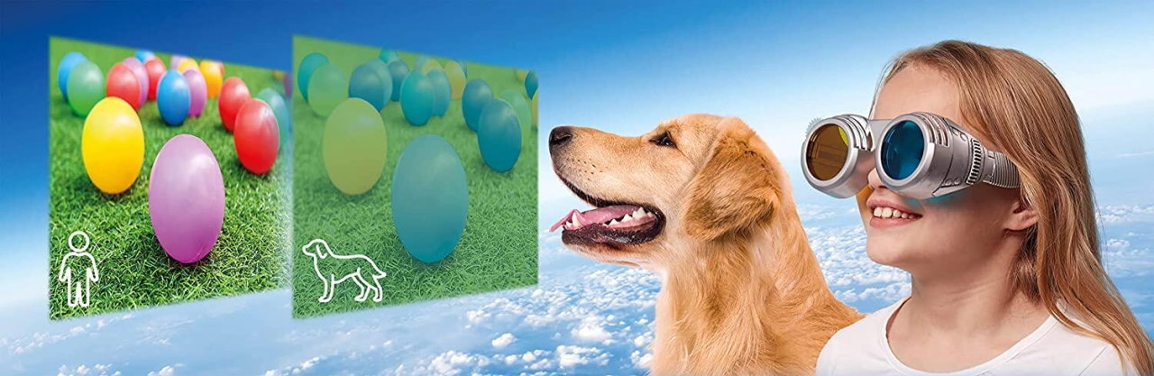 Set STEM - Descopera lumea prin alti ochi [10]