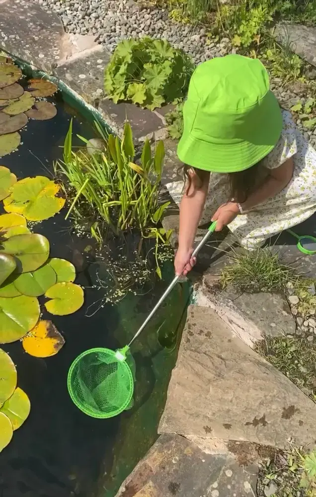 Setul micutului explorator [4]