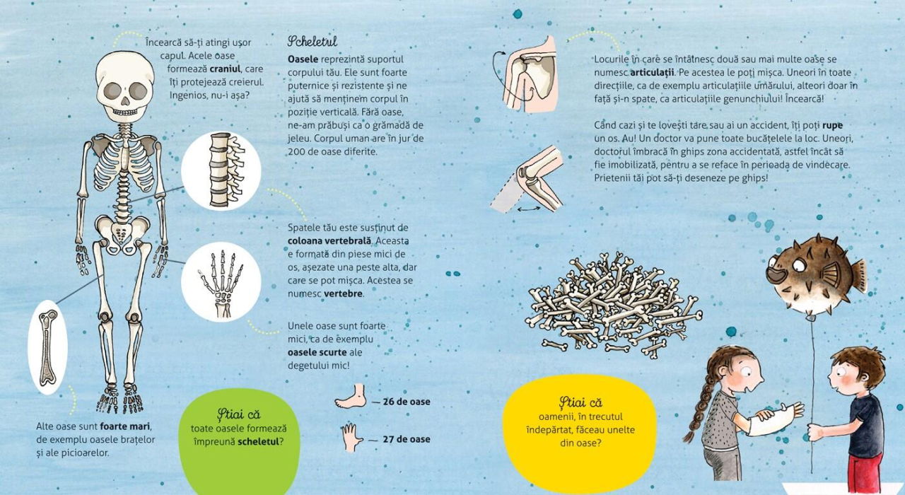 Vreau sa stiu - Cum functioneaza corpul meu [3]