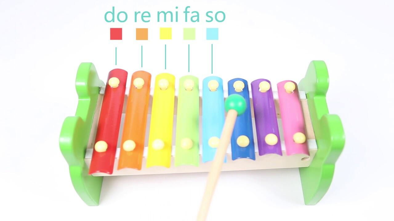 Xilofon din lemn - Broscuta vesela [6]