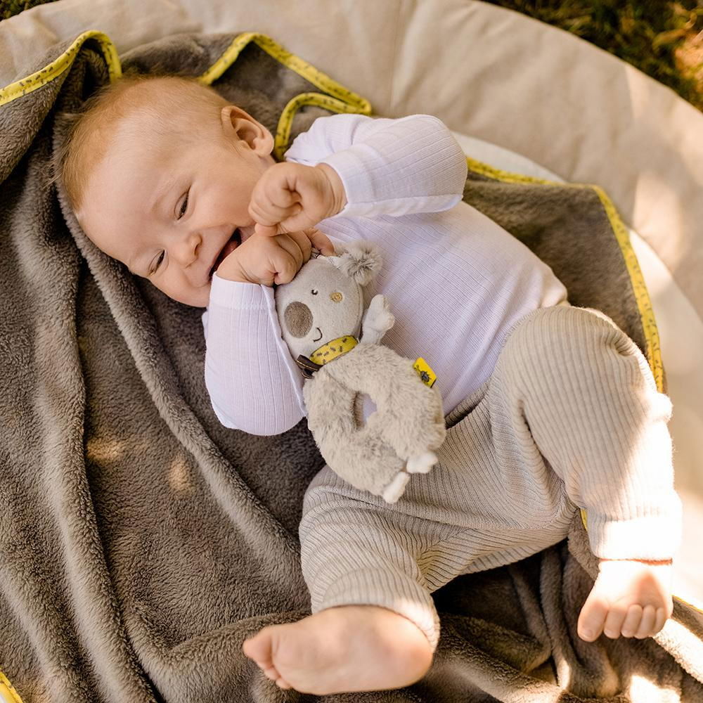 Zornaitoare - Koala [3]