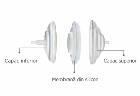 Accesorii alaptare - Accesorii pompa - Filtru protectie flux invers