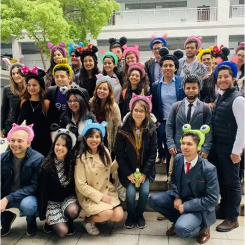 Baloane Coronita - Balon din Folie Metalizata, Flippy, Tip Coronita cu Urechi, Model Flamingo, Ambalaj Individual, Pai Inclus, Umflare cu Aer sau Heliu, 28 x 27 cm, Roz