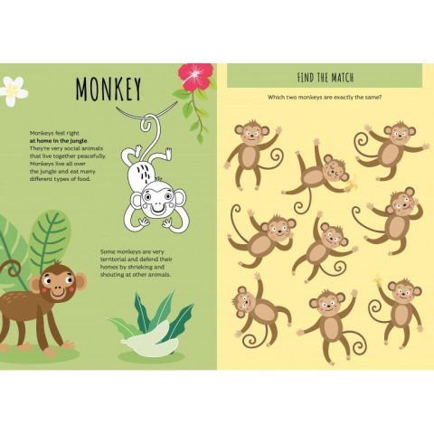 Carti pentru copii - Carte de activitati cu abtibilduri - Jungla