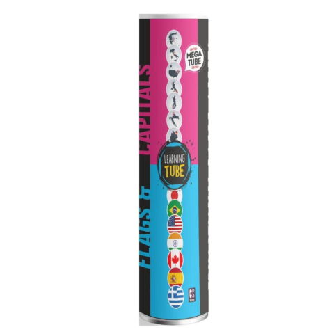 Jucarii de logica - Joc Learning Tube® - Steagurile & Capitalele Lumii