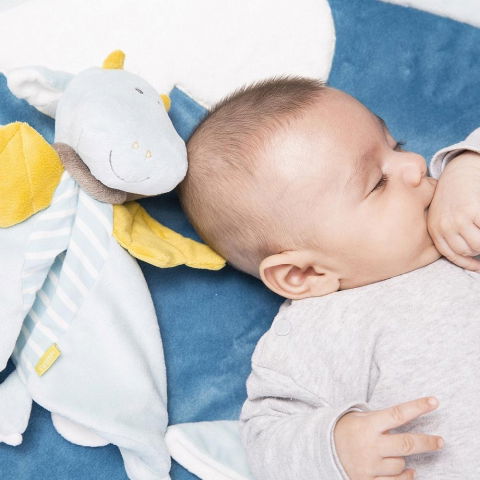 Jucarii de plus - Jucarie doudou - Dragon magic