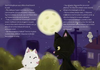 25 - 50 LEI - Jup, un pisoi de soi - volumul VIII - Jup si secretele noptii