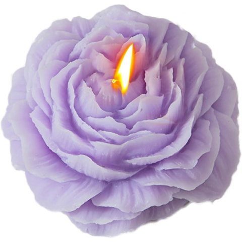 TeoMarket - Lumanare Parfumata, Flippy, Model Trandafir, Ardere 10h, 70 g, 7.5 x 3.5 cm, Parfum de Lavanda, Mov