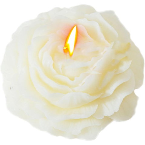 TeoMarket - Lumanare Parfumata, Flippy, Model Trandafir, Ardere 10h, 70 g, 7.5 x 3.5 cm, Parfum de Tuberoza, Alb
