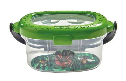 Experimente - Observatorul pentru insecte