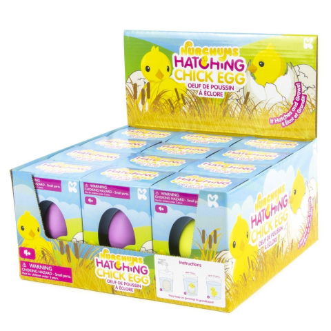 Experimente - Ou mic - Puisor