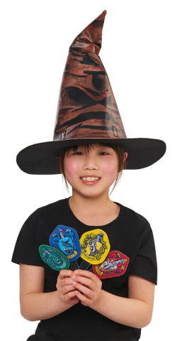 Accesorii carnaval - Palarie magica & insigne Harry Potter