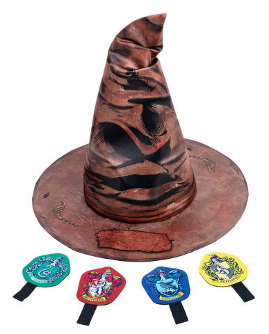Accesorii carnaval - Palarie magica & insigne Harry Potter