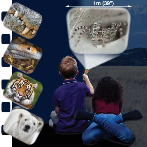 Jucarii dezvoltare imaginatie - Proiector tip lanterna - Cele mai periculoase animale