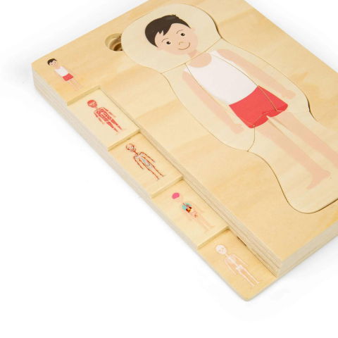 Puzzle din lemn - Puzzle anatomic din lemn - Baiat