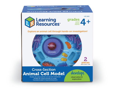 Experimente - Sectiunea celulei animale