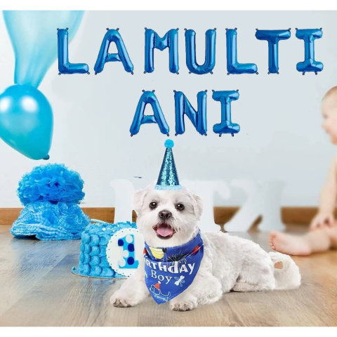 Import - Set 10 Baloane din Folie Metalizata, Flippy, Figurine Litere, Model La multi ani, Tema Aniversare, 40 cm, Ambalaj Individual, Pai Inclus, Umflare cu Aer sau Heliu, Albastru