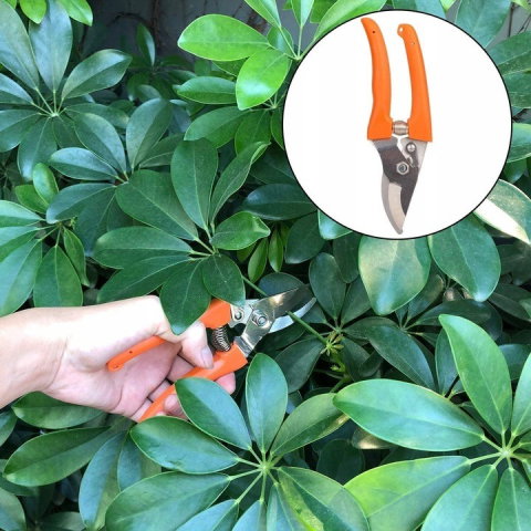 Import - Set 12 Unelte de Gradina, Flippy, pentru Plantare Prelucrare Sol si Ingrijire Plante, Manere Portocalii, Material PVC si Cardboard, Cutie Inclusa, 37x28 cm, Negru