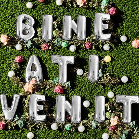 Import - Set Baloane din Folie Metalizata, Flippy, Figurine Litere, Model Bine Ati Venit, Tema Aniversare, 40 cm, Ambalaj Individual, Pai inclus, Umflare cu Aer sau Heliu, Argintiu