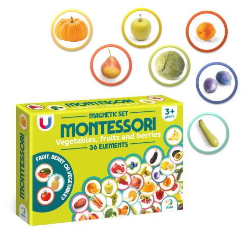 Jocuri de asociere - Set magneti Montessori - Fructe si legume