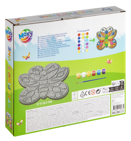 Import - Set pictura pe piatra - Fluturas