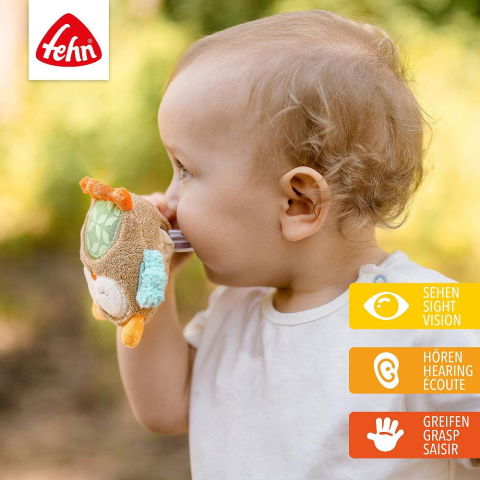 Primele notiuni - Zornaitoare - Bufnita somnoroasa