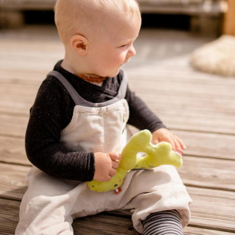 Primele notiuni - Zornaitoare - Dinozaur