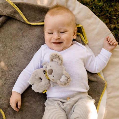 Ingrijire bebelusi - Zornaitoare - Koala