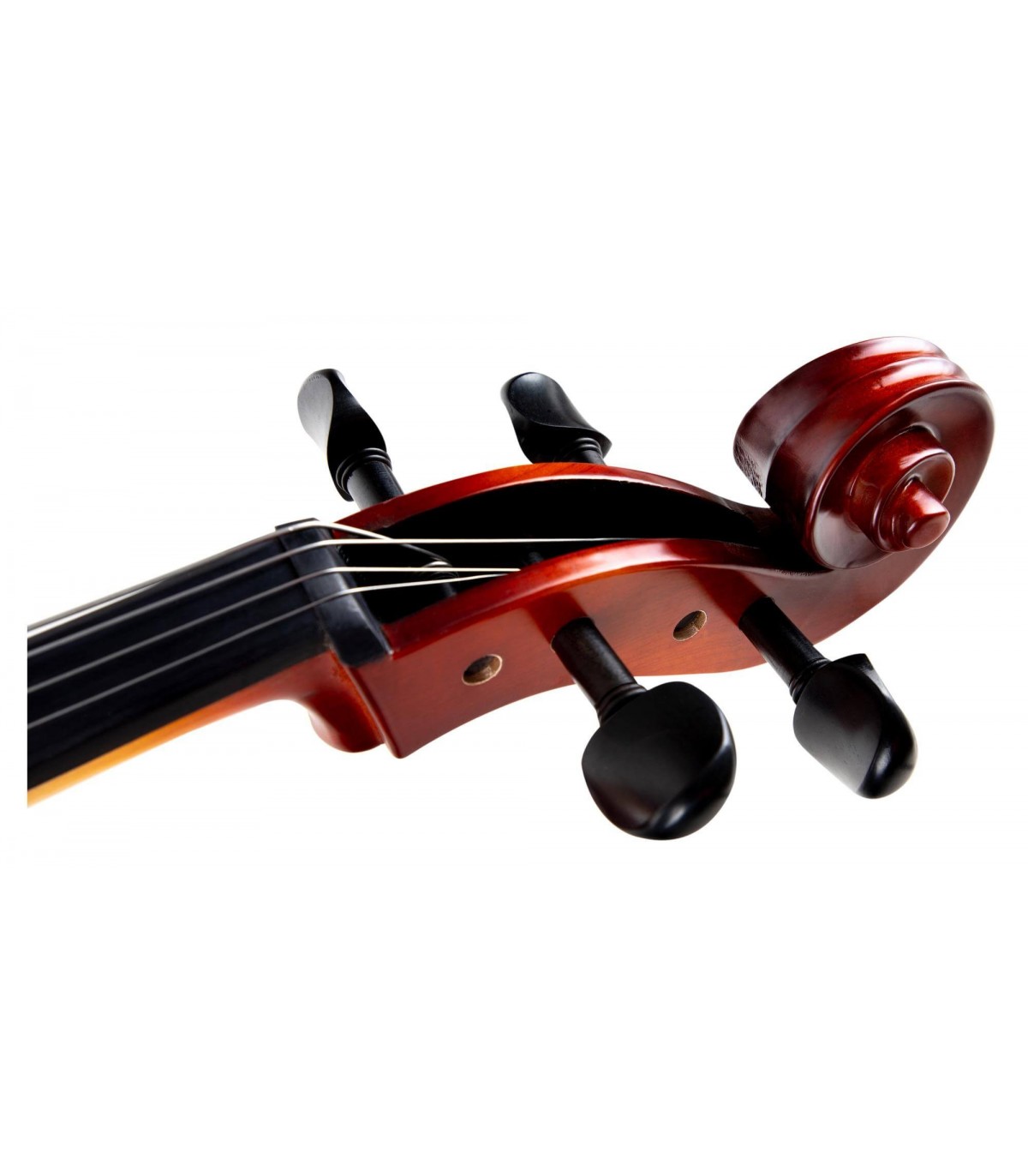 Classic Cantabile Brioso Cello Set 4/4 [4]