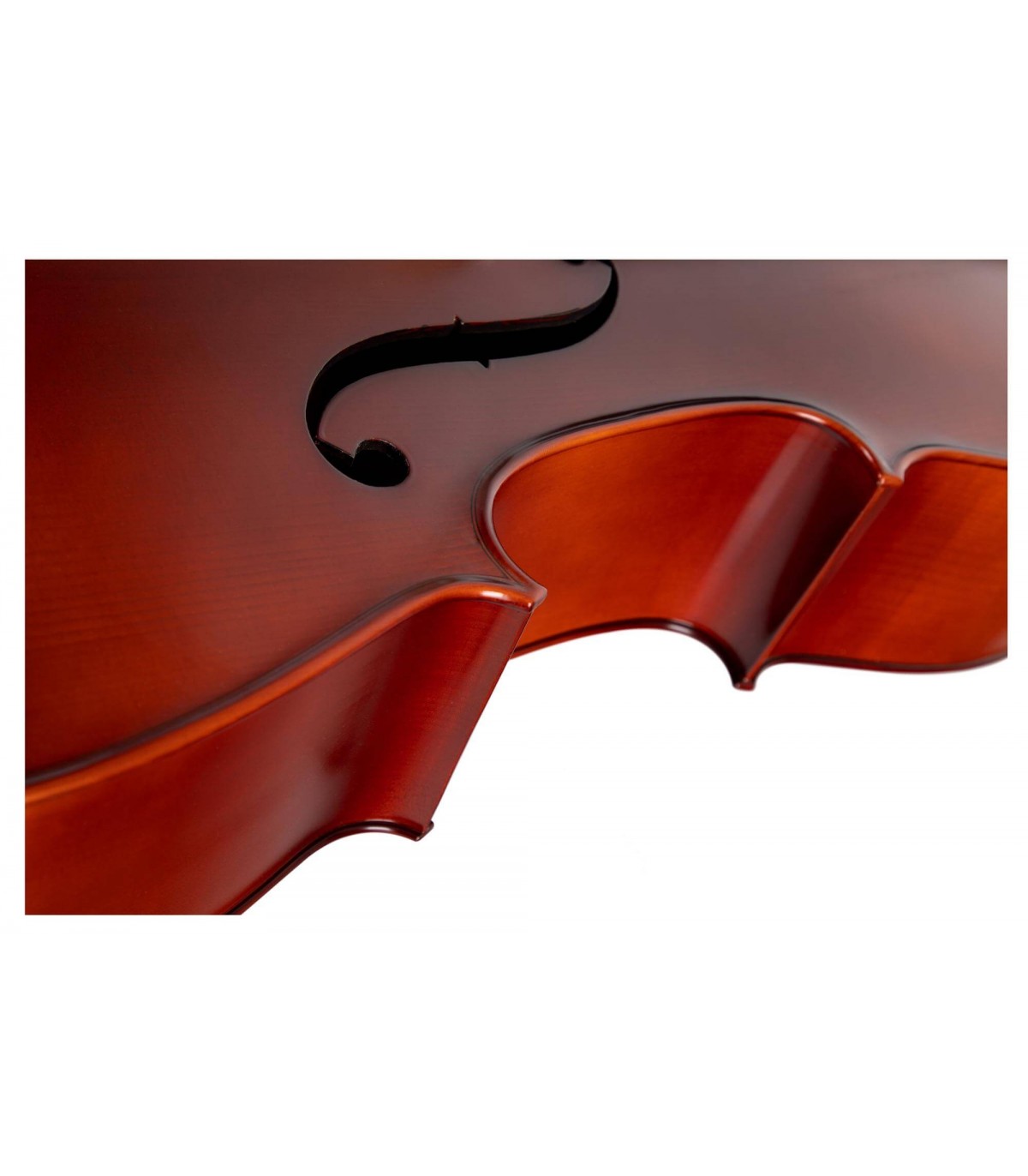 Classic Cantabile Brioso Cello Set 4/4 [6]