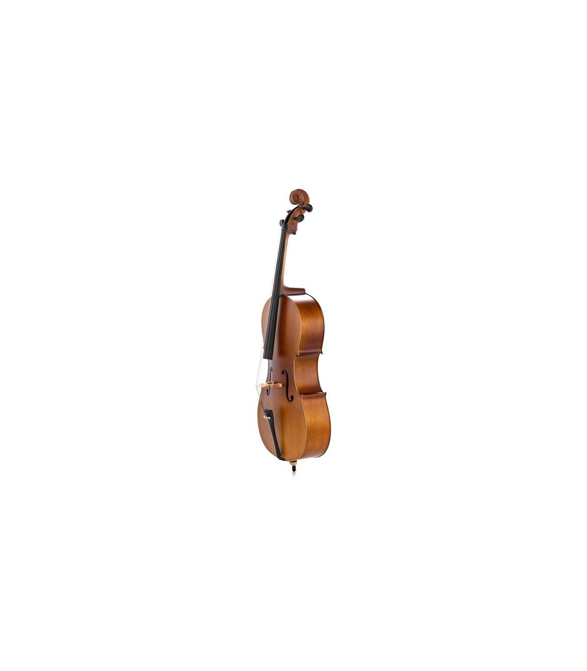 Costa Maestro Cello 4/4 [3]