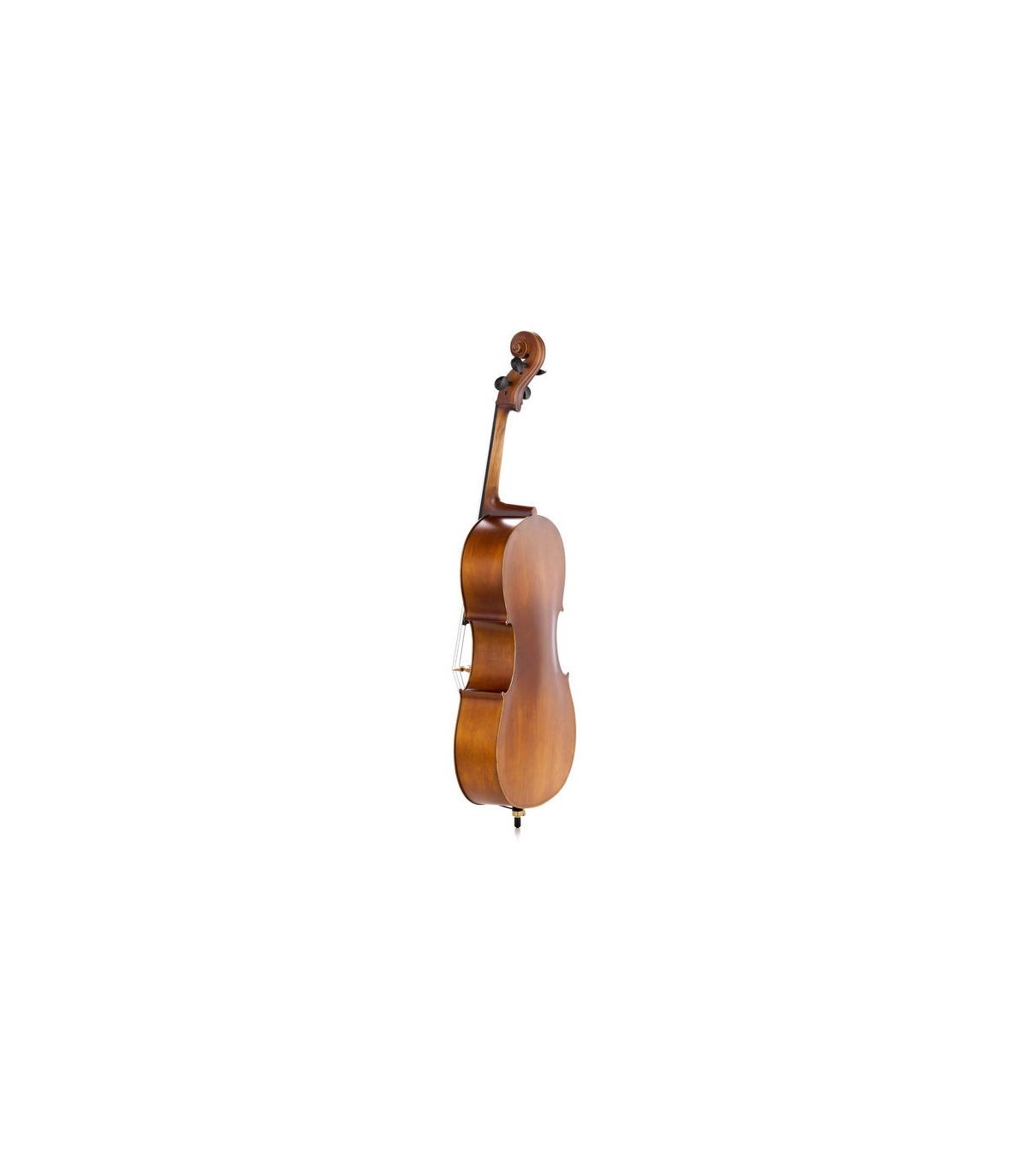 Costa Maestro Cello 4/4 [5]