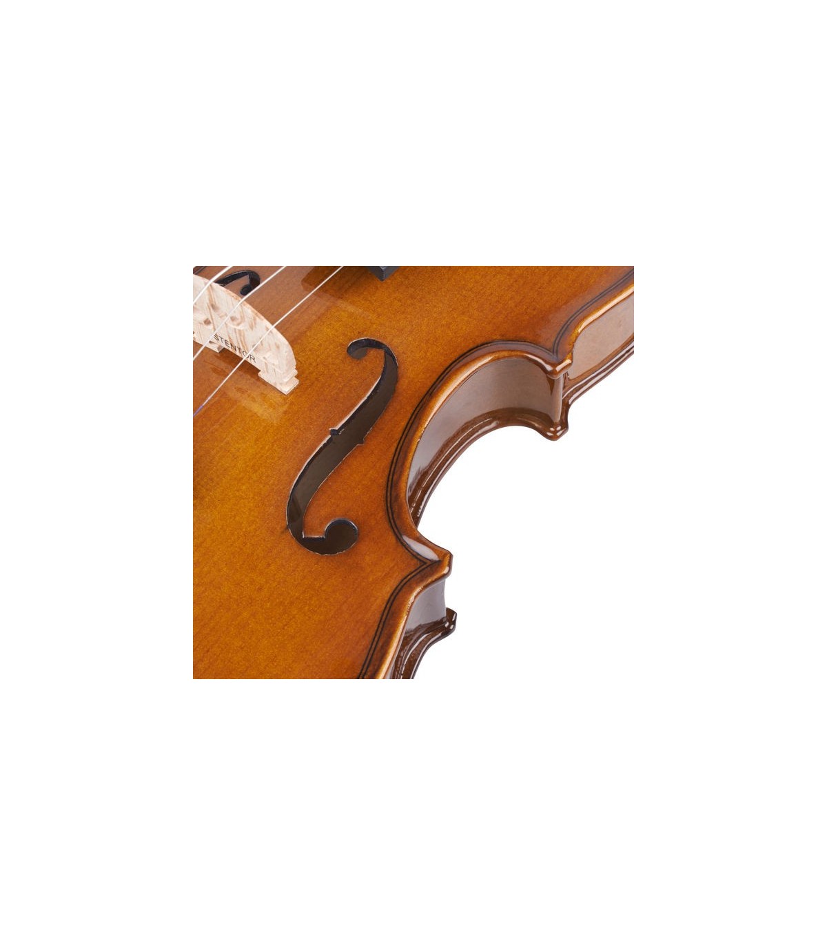 Stentor SR1500 1/2 Violin Student II [8]