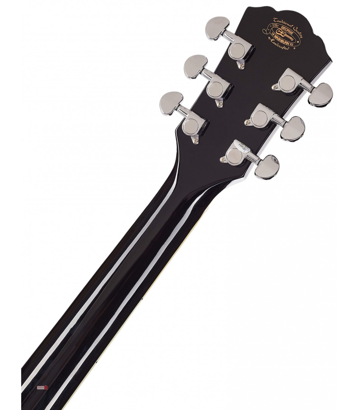 Washburn EA12 B-A-U [5]