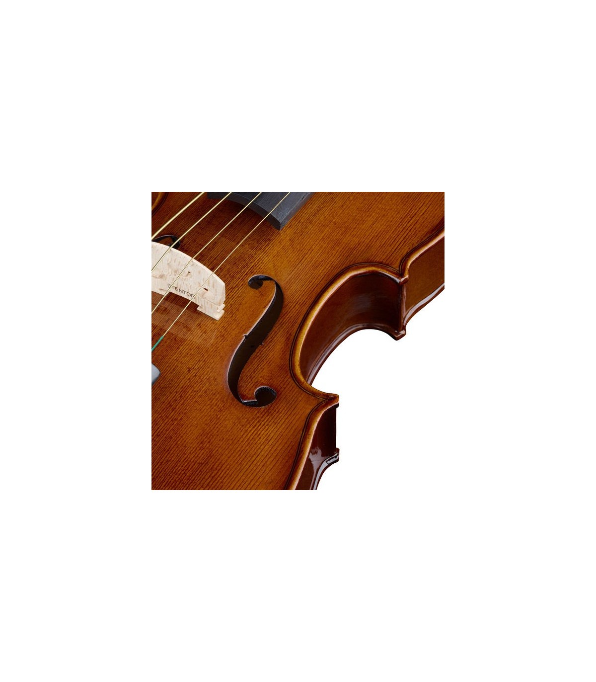 Stentor SR 1505 Viola Student II 15.5" [7]