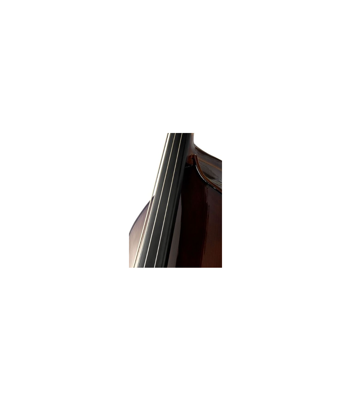 Stentor SR1950 Double Bass Student 1/8 [5]