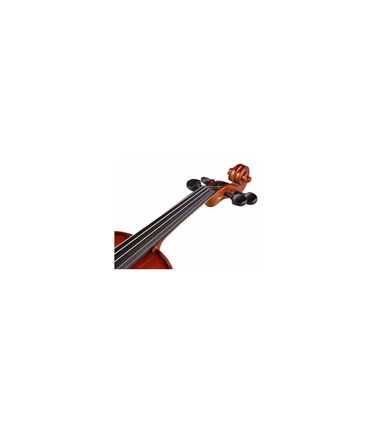 Stentor SR1542 Violin Graduate 3/4 [6]